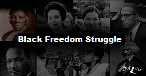 Black Freedom Struggle in the United States